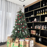 Thi Công Nhà Phố Chủ Tịch Tập Đoàn T&T