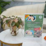 Thiết kế spa dưỡng sinh- Mộc Nhiên Spa Cầu Giấy, Hà Nội